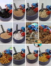 Hermit Crab Food Variety Pack LARGE  Natural Diet Mix for Healthy Hermit Crabs