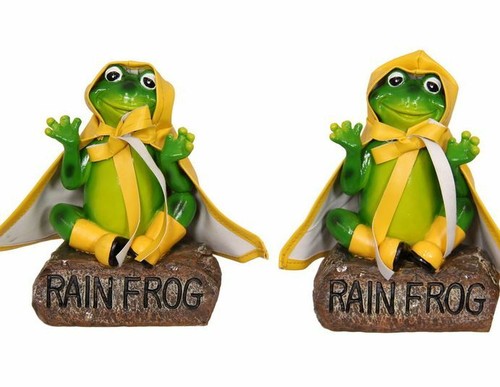 2 x RAIN FROG WITH WELLINGTON BOOTS AND 