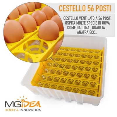 Incubatrice Uova 25 Pollo - Rotazione Automatica - Controllo Umidit&agrave; - Per Galline, Anatre, Quaglie