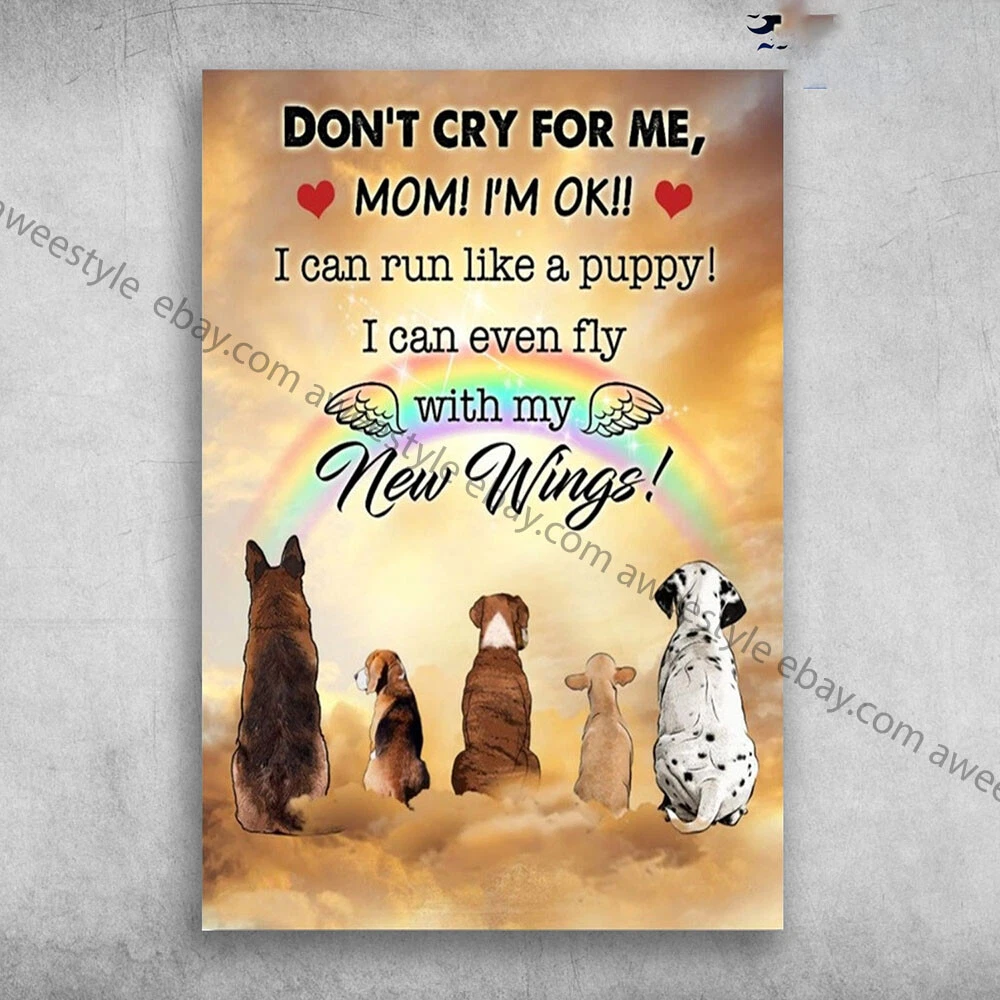 Fly my dog to me sales