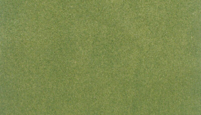 Woodland Scenics Spring Grass ReadyGrass Vinyl Project Sheet 14-1/4 x 12- RG5141