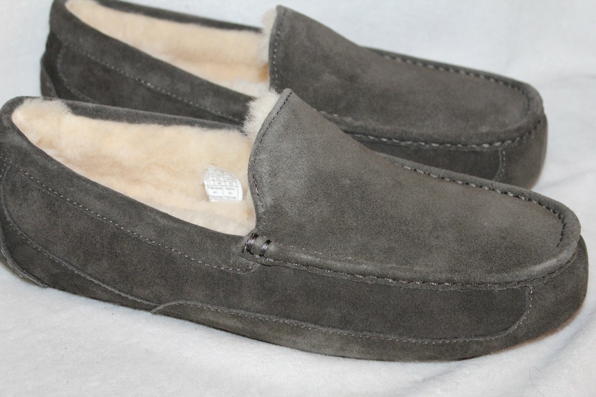 NIB‎ UGG MEN\'S ASCOT SUEDE SHEARLING SLIP ON SLIPPERS GRAY UGG Men main image 3
