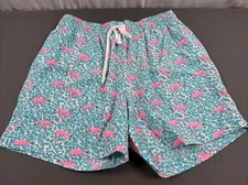 NWOT Chubbies The Domingos Are For Flamingos 5.5” Classic Swim Trunk Large
