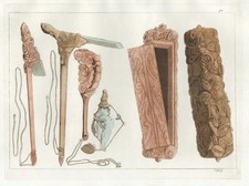 Nowa Zelandia Nowa Zelandia naczynia akwatinta akwatinta akwatyna etching ferrario 1820