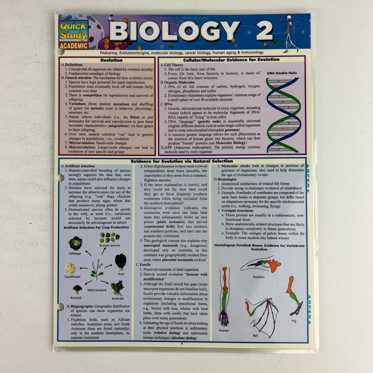 BIOLOGY Quick Study ACADEMIC 生物学 Biology: a QuickStudy Laminated Reference Guide (QuickStudy
