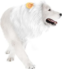 Dog Lion Mane Costume - Realistic with Ears for Medium to Large, White