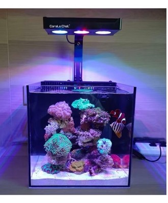 Aquarium Reef LED Light, CORALS CHAT Aqua Knight LED Aquarium Light A019  - 40W