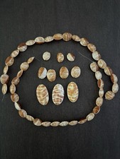 LOT Of Oval Shell Beads In Brown And Bone Color Read Info