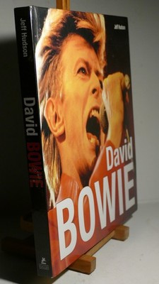 ROCK '' DAVID BOWIE '' BIOGRAPHIE 200  PHOTOGRAPHIES DE AGENCE GETTY ED J. HUDSON