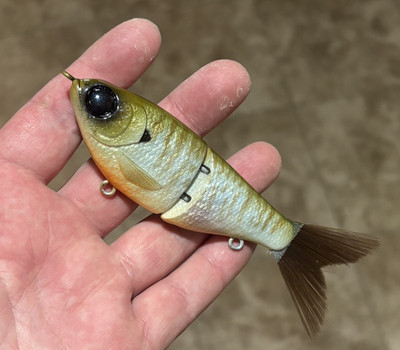 Custom Painted 5 Inch Shad Glide Bait Finesse-ddsfishing