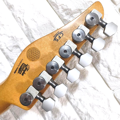 Ibanez Talman Custom Mod Relic FGN Fujigen CFS Locking Tuners