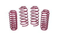 Vogtland Sportfedern FüR VW Golf IV 1J, 1.4, 1.6, 1.6 16V Bj. 1997-2003 50/50