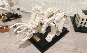 LEGO Advanced models 21006 White House 10222 Winter Village 40440 40425 21320