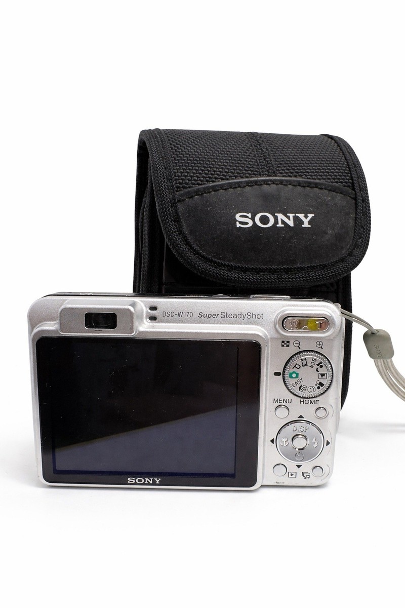 Sony Cyber-shot DSC-W170 10.1MP Digital Camera - Silver (DSC-W170