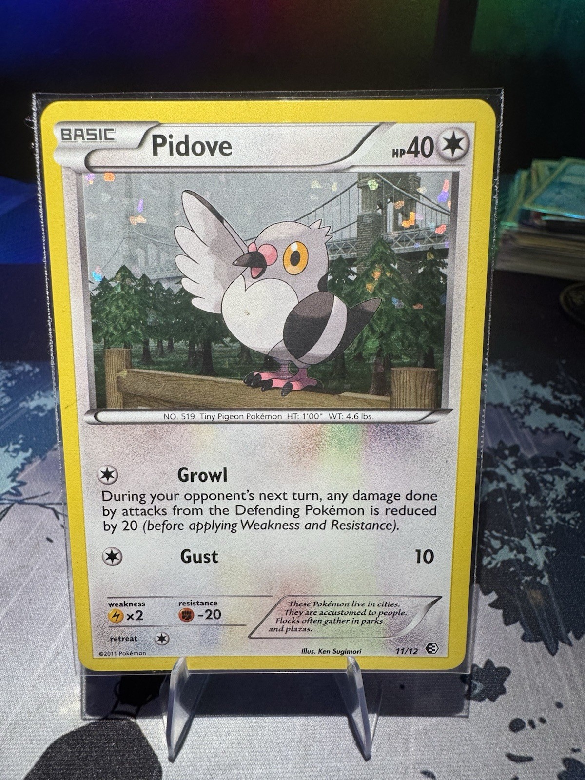 Pokémon TCG Pidove McDonald’s Promo Holo Card 2011 Nintendo