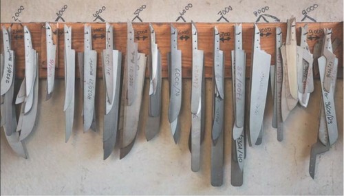 Giesser Messer SP 6cm gebogen limette Kneipchen Obst Gemüse Schäl Tourniermesser - Bild 6 von 6