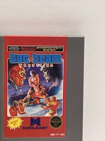 Tag Team Wrestling NES Video Game Nintendo Data East 1986
