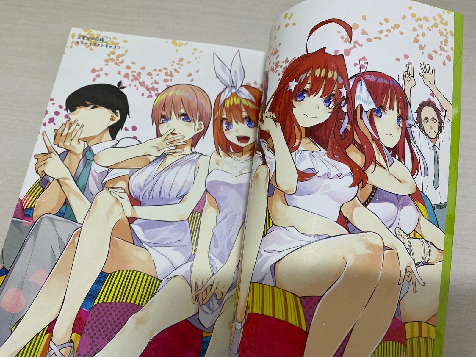 USED F/S GoToubun no Hanayome Series Character Book 5 Set Japanese