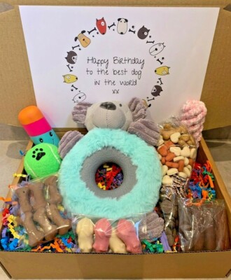 Birthday Best Puppy Gifts Dog Lovers Best Birthday Gifts For Dogs