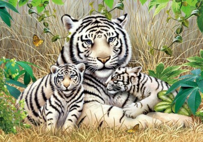White Tiger Family III - 1000pc Jigsaw Puzzle By PuzzleLife