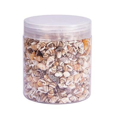 1 Box verschiedene natürliche Muschel Muscheln Strand Muscheln Dekoration Akzente