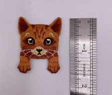 Deep Orange Cat Brown Cat Iron On Patch