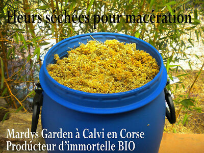 Korsische Lavendel-Stoechas-Seife 100g – Mit ätherischen Bio-Ölen, Für Fettige & Unreine Haut