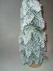 Picture 2 of 6