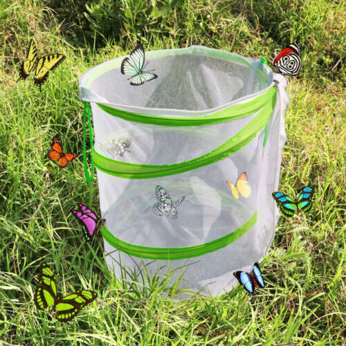 Insect Butterfly Cage Foldable Portable Transparent Surface Habitat Mesh Zipper - Picture 10 of 12