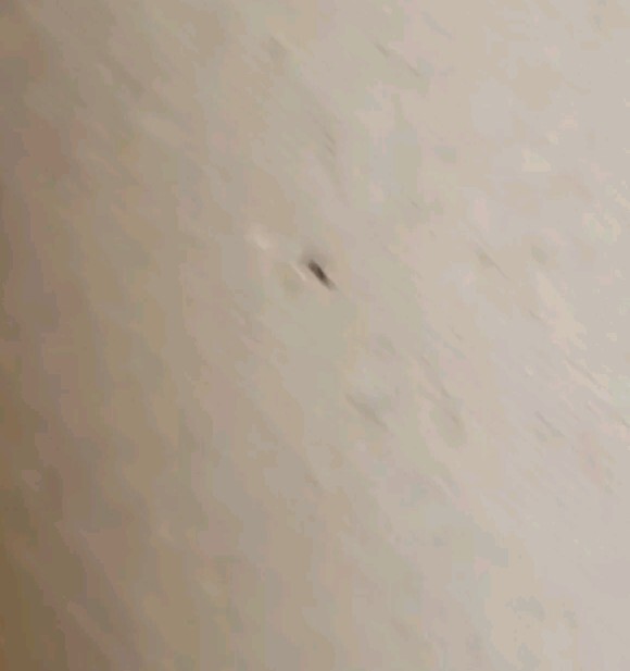 Picture 5 of 13