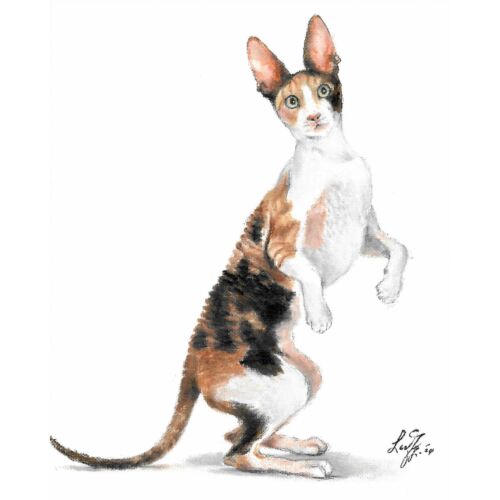 ✿ ORIGINAL Oil Portrait Painting CORNISH REX Artist Signed Cat Artwork on Canvas - Picture 1 of 1