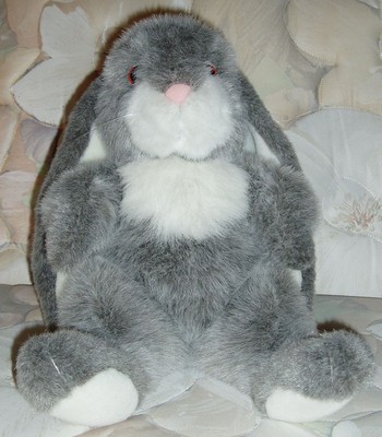 Grey & White Sitting 11