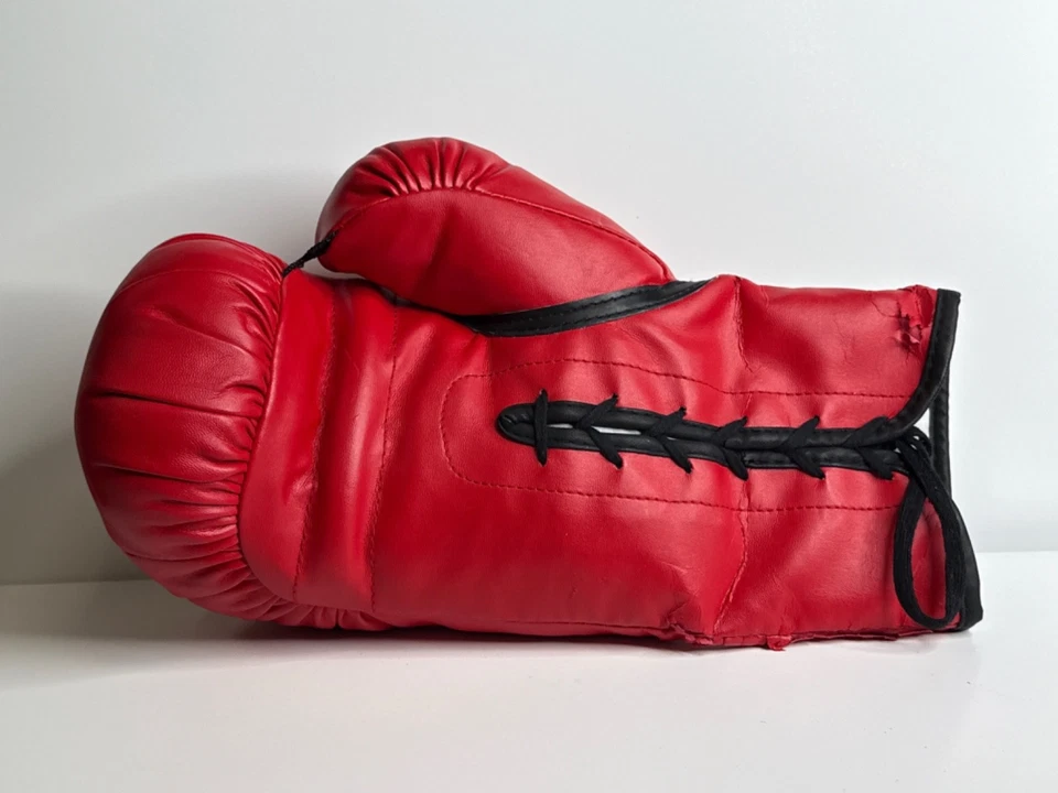 Thomas 'Hitman' Hearns Emanuel Steward Signed RH Everlast Boxing Glove PSA - Image 3 of 3