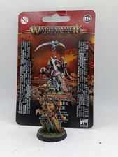 Games Workshop Warhammer Age of Sigmar Rotbringer Sorcerer Amazing Paint Job!!!!