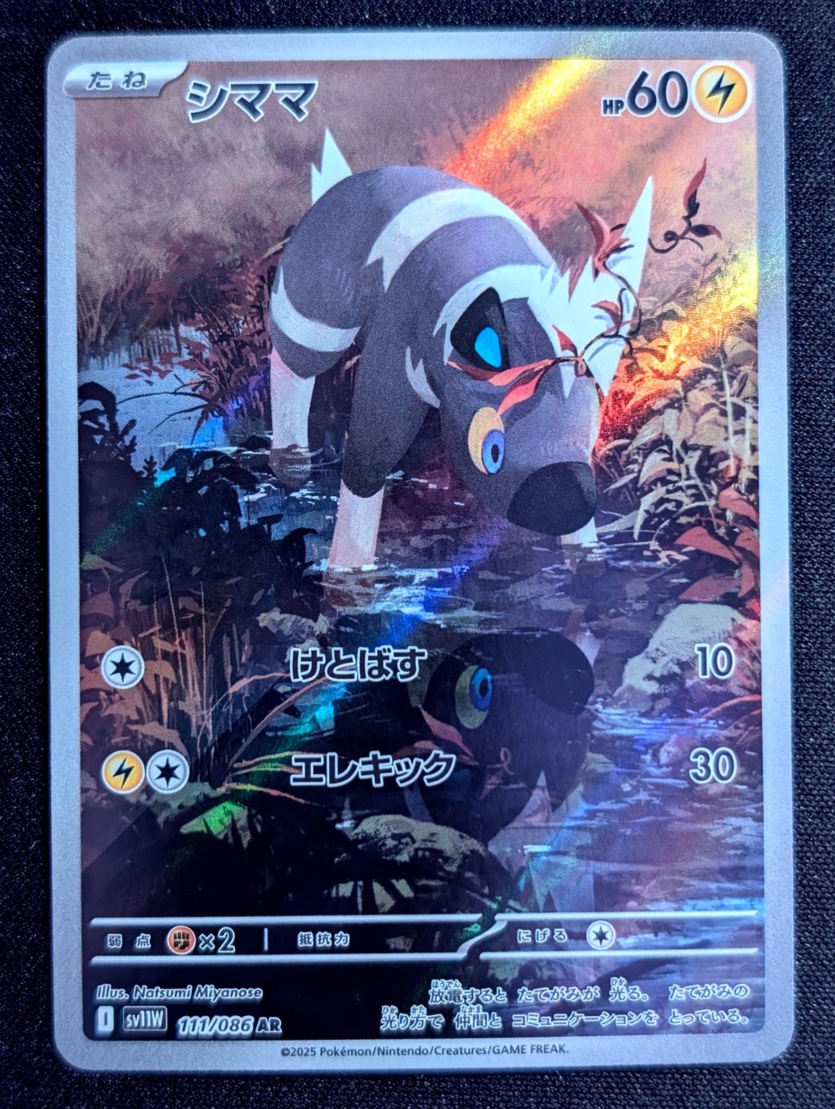 Blitzle - 111/086 SV11W: White Flare Pokemon TCG NM JP