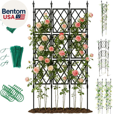 Garden Trellis for Climbing Plants Outdoor - 65'' Pe-Coated Metal Pipes & Plastic