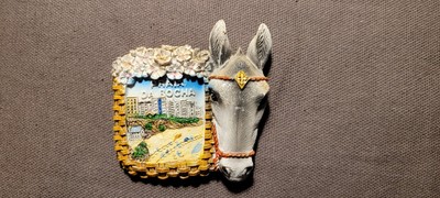 Donkey Praia Da Rocha Portimão Portugal tourist souvenir fridge magnet
