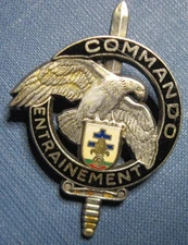 France FRENCH COMMANDO TRAINING CENTRE 13th DEMI BRIGADE DBLE Badge Drago