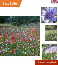 Attract Bees & Butterflies: 4 Pack of 100% Natural UK Wildflower Seeds, 10g Each 249.75 per kilo