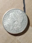 1921 S Morgan Silver Dollar Circulated