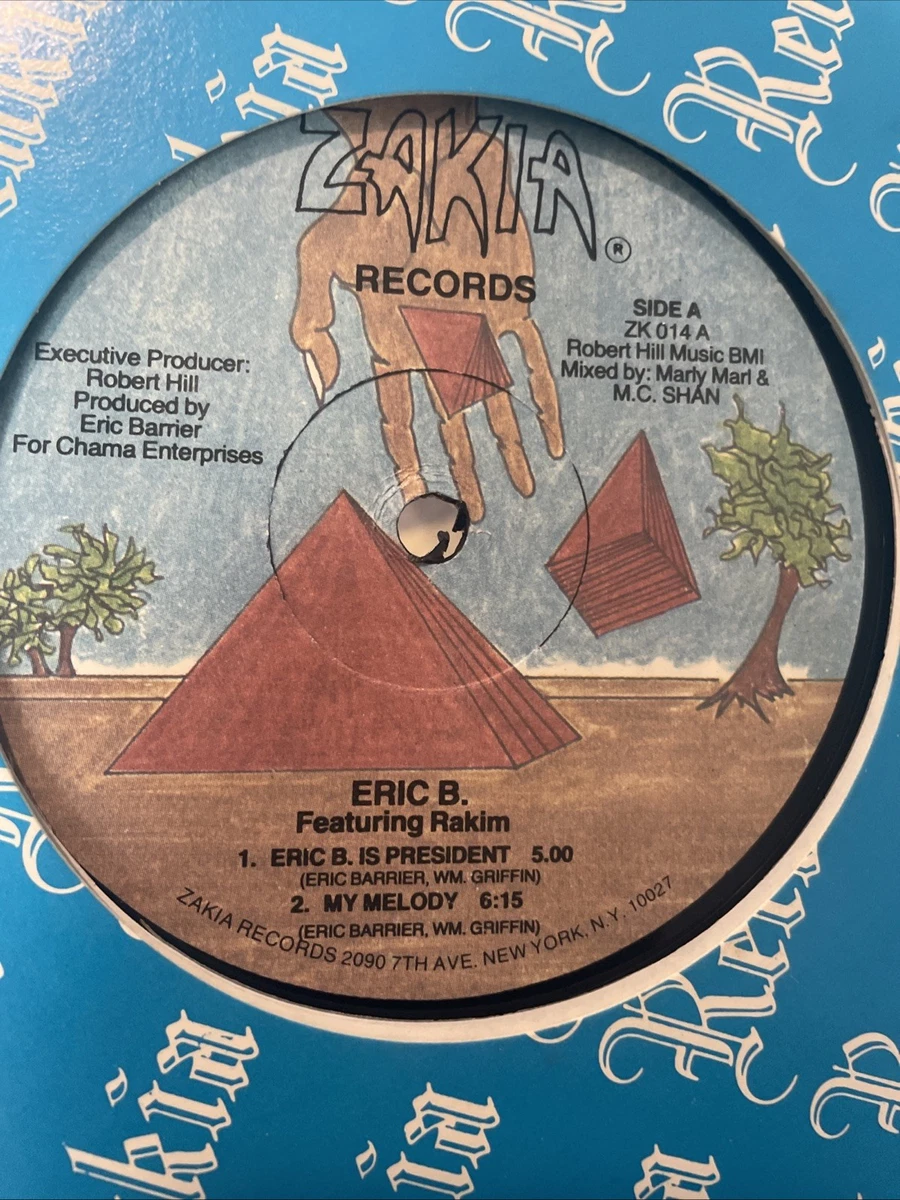 Electric President s/t レコード President Vinyl Records - огромный выбор по лучшим ценам | eBay