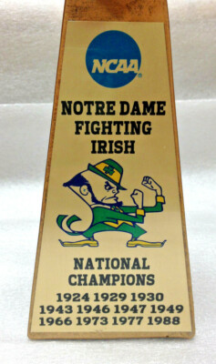 Champion Notre Dame Fighting Irishフットボール 10