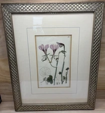 1822 Original Flower hand-painted Engraving by J. Ridgway, Smith, Watts 13x16