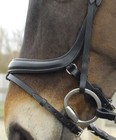 Bild 2 von 2