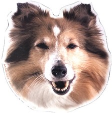 Magnet America Pet Collie Dog Magnet Refrigerator Or Auto 4 3/4" x 5 1/4" New