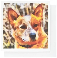 Australian Cattle Dog (Red Heeler) Blank Note Cards - Set of 6 with Envelopes by
