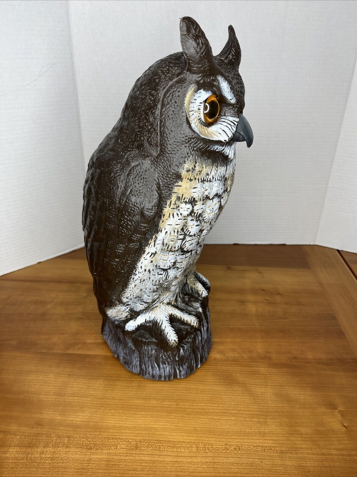 Picture 16 of 21