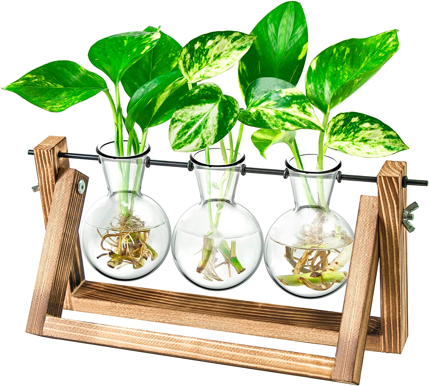Plant Propagation Station, Plant Terrarium,Gifts for Women Plant Lovers,Plant Cu