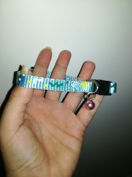 Collar Mascotas