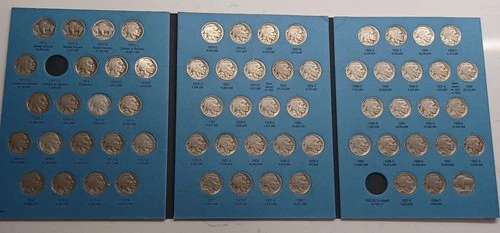 Lot Of 23 Buffalo Nickel Set